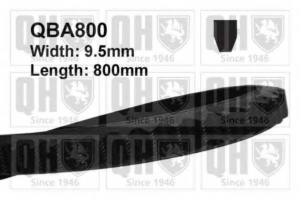 Клиновий ремінь 10 x 800 quintonhazell qba800