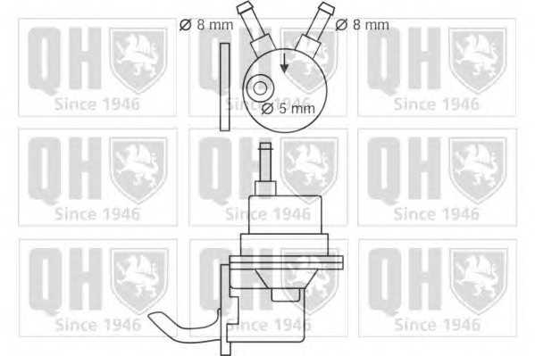  quintonhazell qfp56