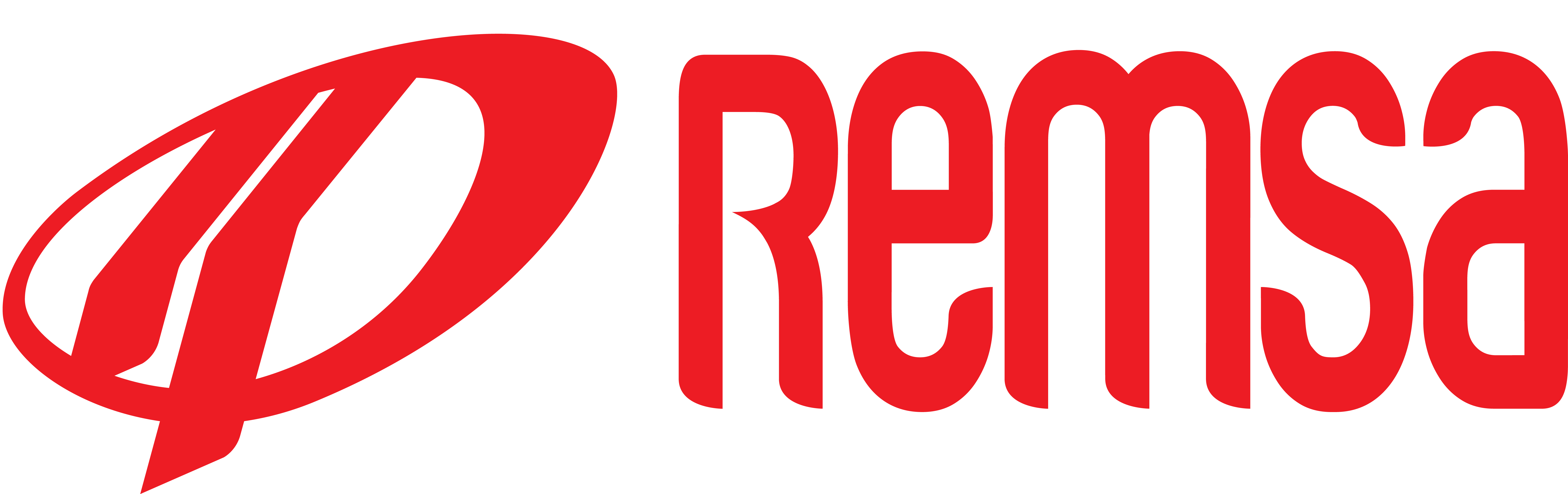 Отзывы, мнения, каталог REMSA