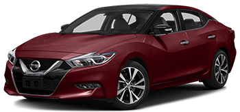 фото NISSAN Maxima (2015-2018)