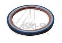 ASAM 01338