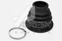 ASAM 30953
