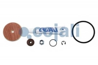 COJALI 6012247