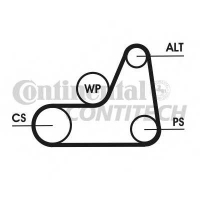 CONTITECH 6PK1042ELAST