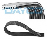 DAYCO 6PK810