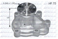 DOLZ O142