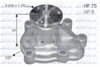 DOLZ O144