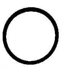 ELRING 275.816