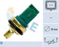 FAE 33706