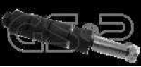 GSP 514869