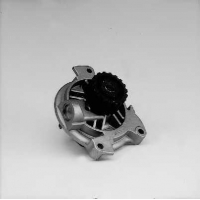 HEPU P536