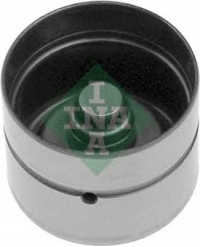 INA 420006110