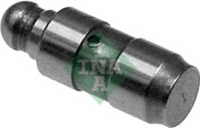 INA 420018110