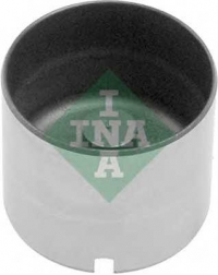 INA 421000510