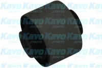 KAVO PARTS SCR5530