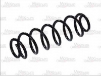 MAGNUM TECHNOLOGY SW055MT