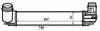 NRF 30481