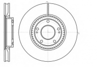 REMSA 61217.10