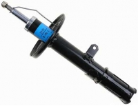 SACHS 313279
