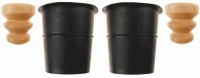 SACHS 900 142