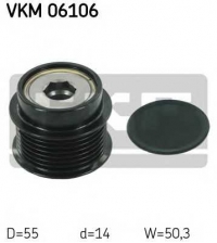 SKF VKM 06106