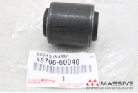TOYOTA 4870660040