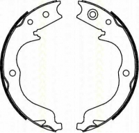 TRISCAN 810010029