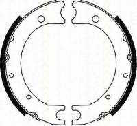 TRISCAN 810013036